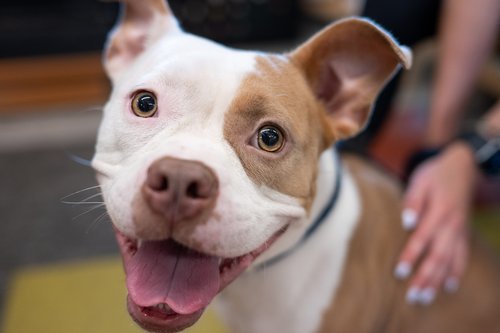 2e9f256d-beb0-4aca-870e-24443d706460