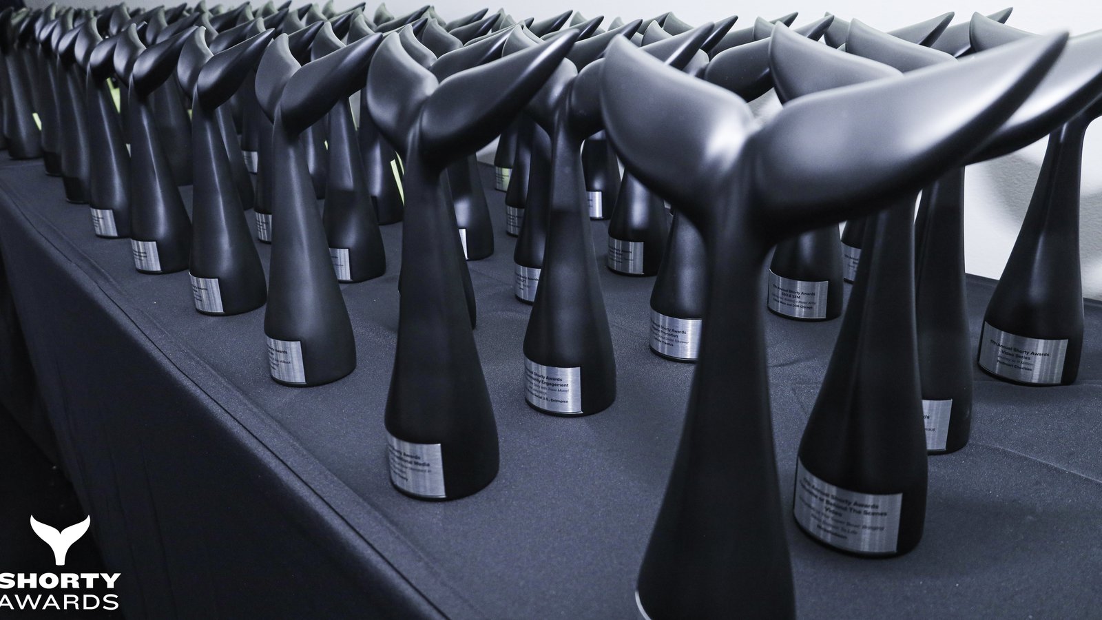 54536679032_fe5cc0f84b_o