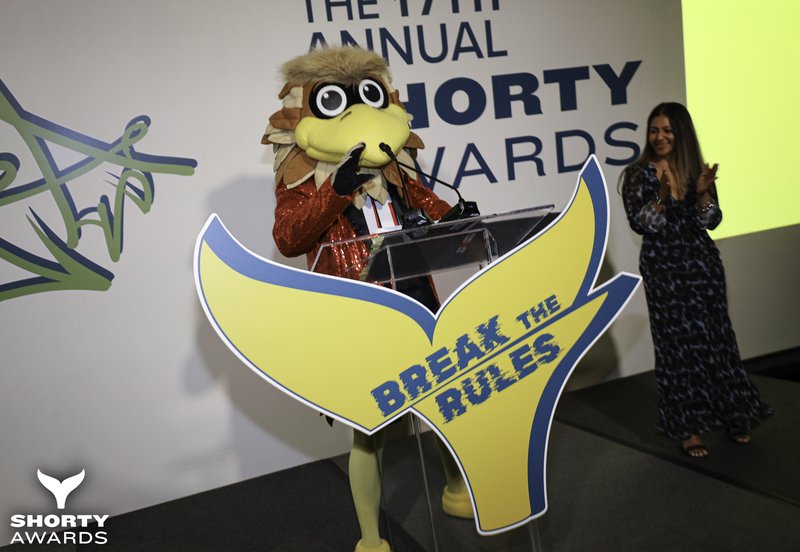 54537559251_5dabc65ff1_o