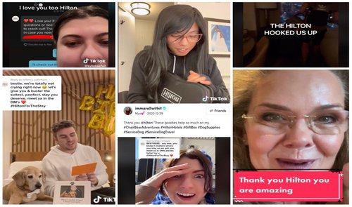 82e6156b-67c0-4a17-93e7-e65818a3d5dd