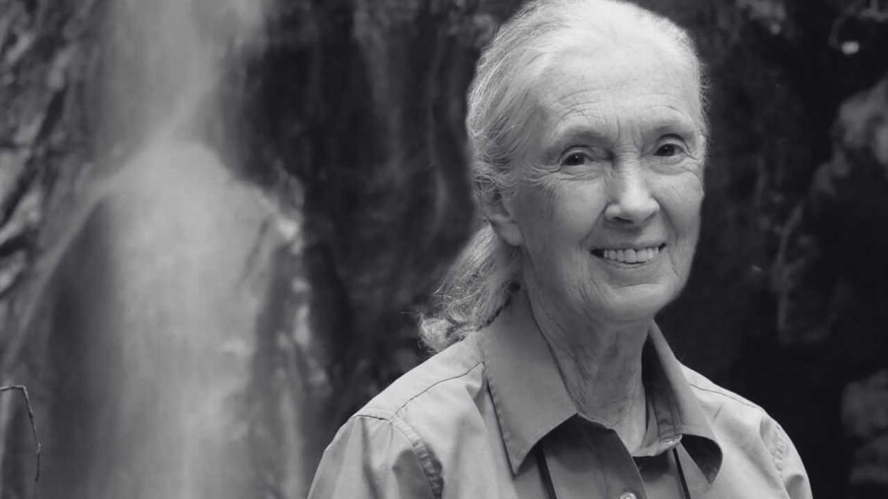 Podcast  Newsletter Thumbnail (2)