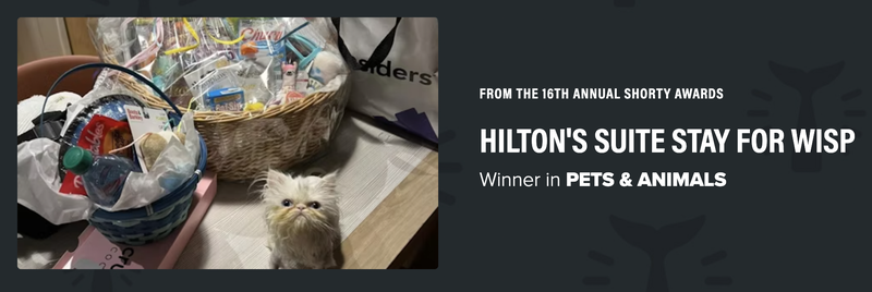 Screen Shot 2025-05-08 at 11.41.59 AM