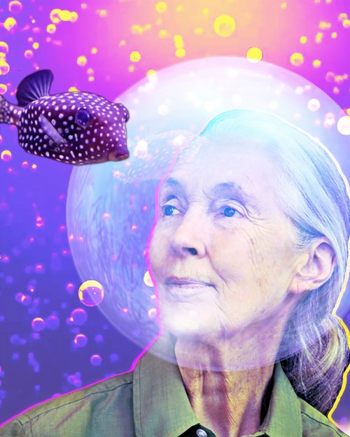 a0ec3f3e-6c13-4783-8632-cd779c0a127a